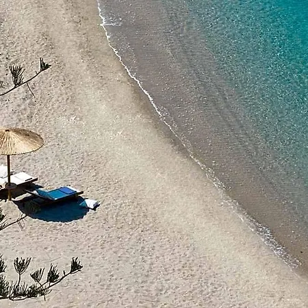 Elissa Adults-only Lifestyle